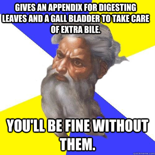 Gives an appendix for digesting leaves and a Gall bladder to take care of extra bile.  You'll be fine without them.  Advice God
