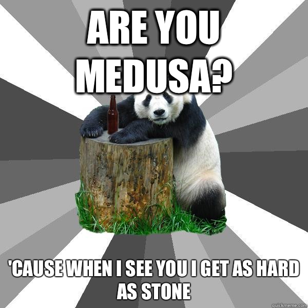ARE YOU MEDUSA? 'CAUSE WHEN I SEE YOU I GET AS HARD AS STONE  Pickup-Line Panda