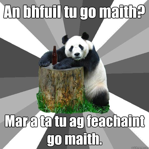 An bhfuil tu go maith? Mar a ta tu ag feachaint go maith.  Pickup-Line Panda