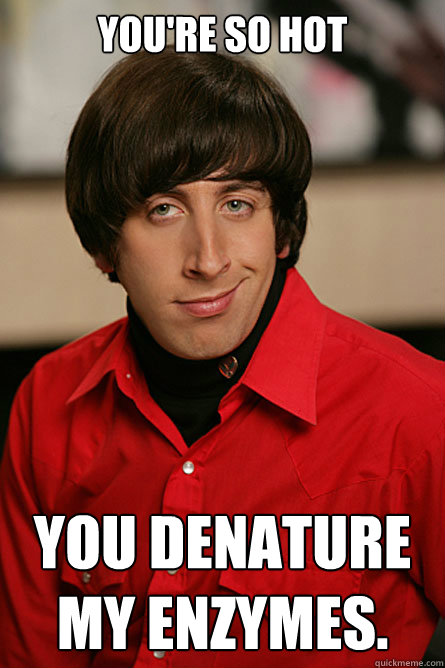 You're so hot you denature my enzymes. - You're so hot you denature my enzymes.  Pickup Line Scientist