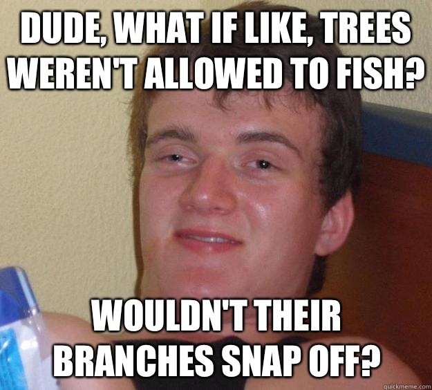 Dude, what if like, trees weren't allowed to fish? wouldn't their branches snap off?  10 Guy