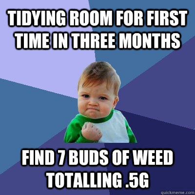 Tidying room for first time in three months Find 7 buds of weed totalling .5g  Success Kid