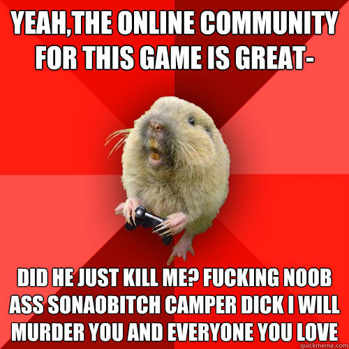 yeah,the online community for this game is great- did he just kill me? FUCKING NOOB ASS SONAOBITCH CAMPER DICK I WILL MURDER YOU AND EVERYONE YOU LOVE   Gaming Gopher