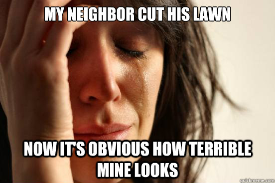 My neighbor cut his lawn Now it's obvious how terrible mine looks  First World Problems