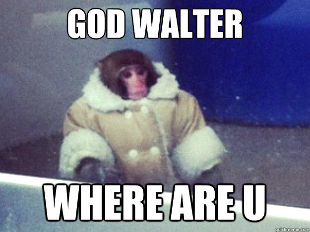 God Walter Where are u - God Walter Where are u  Chic Ikea Monkey
