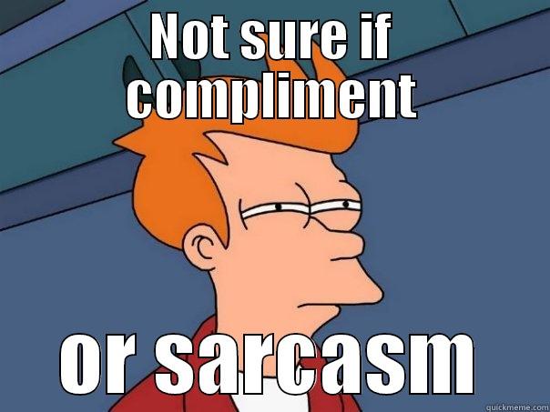 NOT SURE IF COMPLIMENT OR SARCASM Futurama Fry