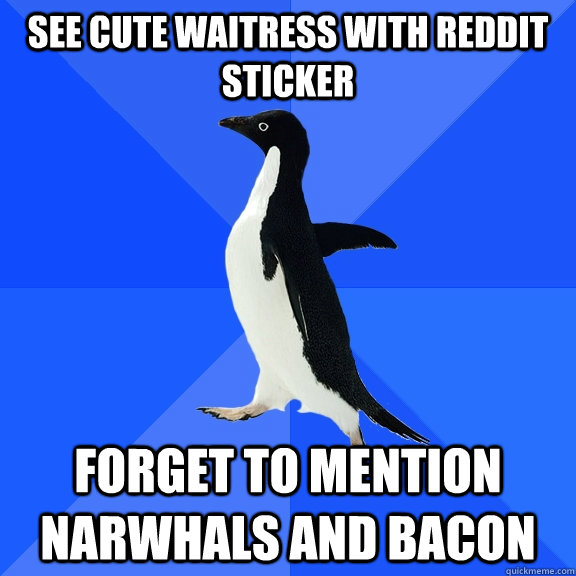 See cute waitress with Reddit sticker forget to mention narwhals and bacon  Socially Awkward Penguin