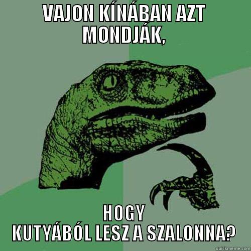 VAJON KÍNÁBAN AZT MONDJÁK, HOGY KUTYÁBÓL LESZ A SZALONNA? Philosoraptor