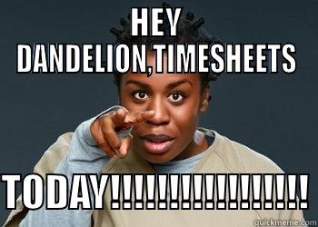 HEY DANDELION,TIMESHEETS  TODAY!!!!!!!!!!!!!!!!! Misc