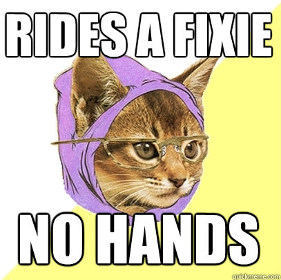 rides a fixie no hands  Hipster Kitty