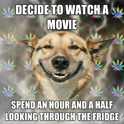 decide to watch a movie spend an hour and a half looking through the fridge  Stoner Dog