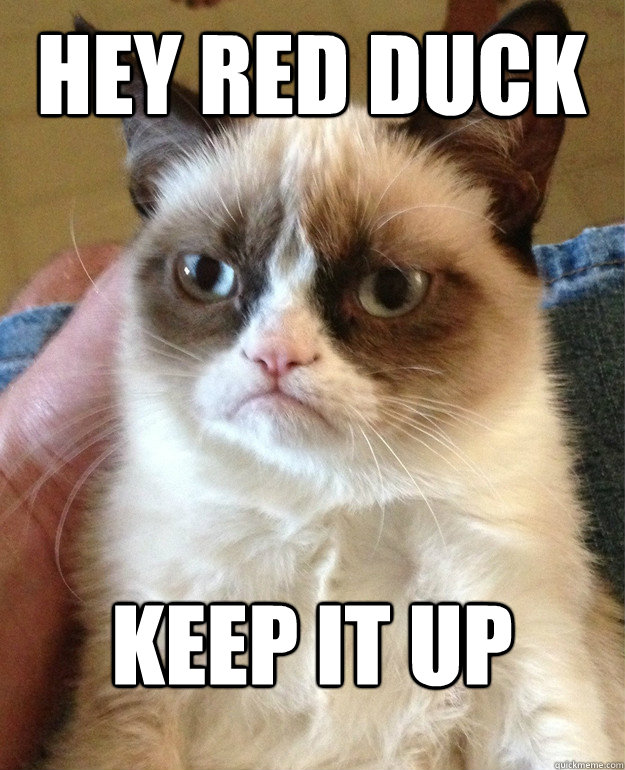 Hey red duck Keep it up  Grumpy Cat