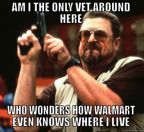Vets & WalMart - AM I THE ONLY VET AROUND HERE WHO WONDERS HOW WALMART EVEN KNOWS WHERE I LIVE Am I The Only One Around Here