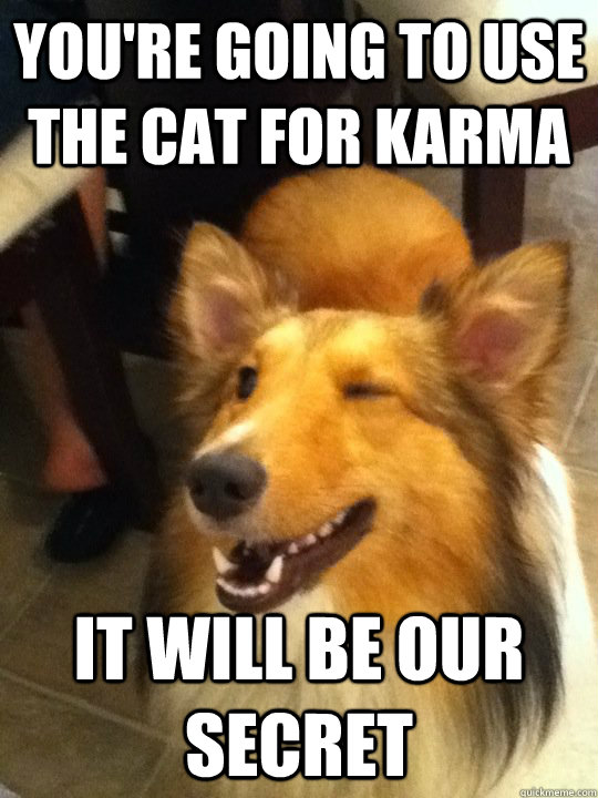 You're going to use the cat for karma IT will be our secret  implying dog