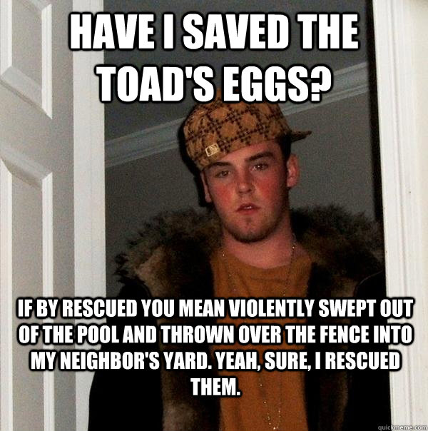 Have I saved the toad's eggs? If by rescued you mean violently swept out of the pool and thrown over the fence into my neighbor's yard. Yeah, sure, I rescued them.  Scumbag Steve