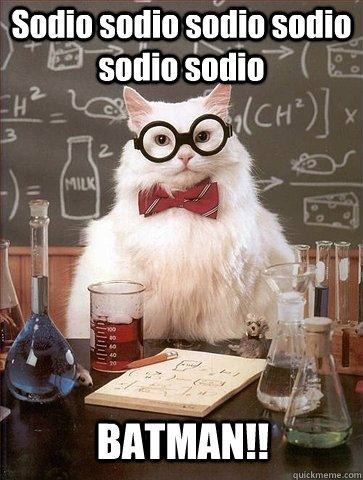 Sodio sodio sodio sodio sodio sodio BATMAN!!  Chemistry Cat