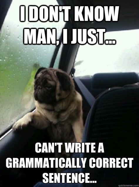 I don't know man, I just... can't write a grammatically correct sentence...  Introspective Pug