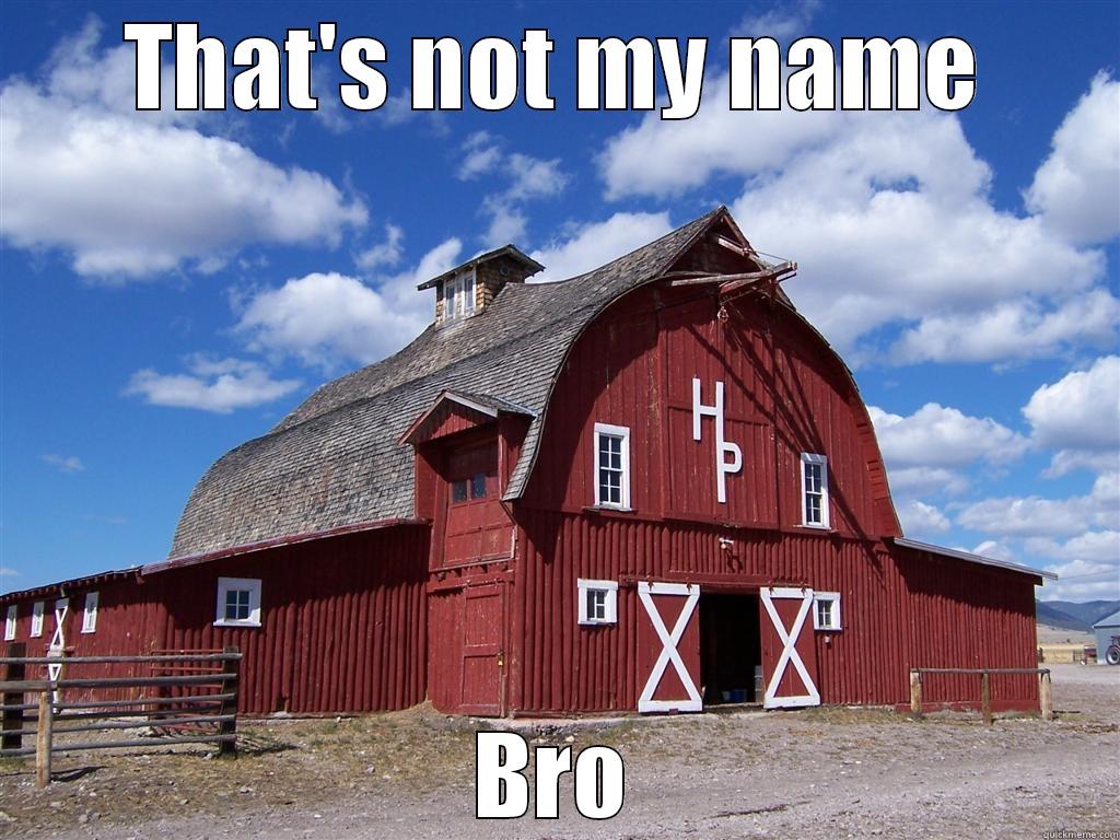 THAT'S NOT MY NAME BRO Misc