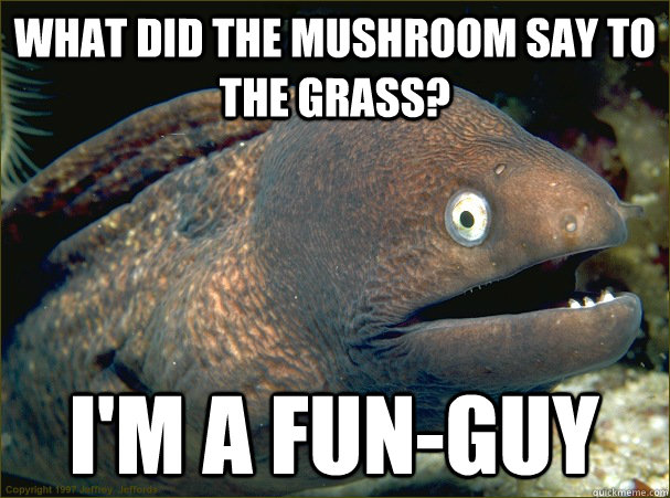what did the mushroom say to the grass? i'm a fun-guy - what did the mushroom say to the grass? i'm a fun-guy  Bad Joke Eel
