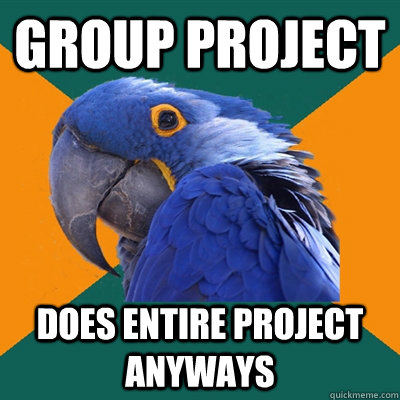 Group Project Does entire project anyways  Paranoid Parrot