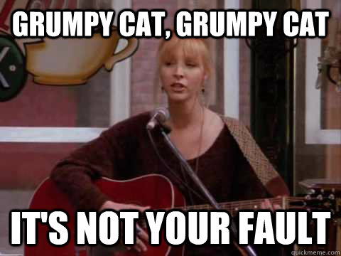 grumpy cat, grumpy cat it's not your fault - grumpy cat, grumpy cat it's not your fault  Misc