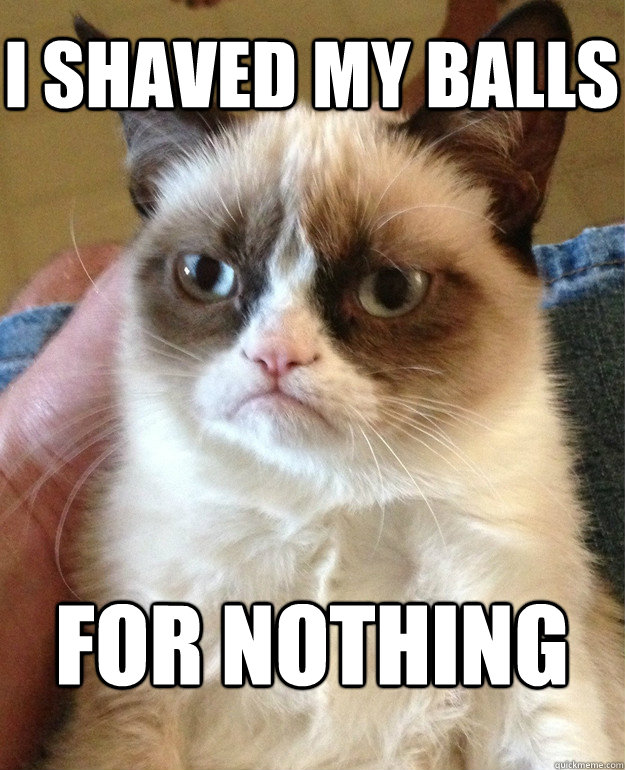 i shaved my balls  for nothing  - i shaved my balls  for nothing   Grumpy Cat