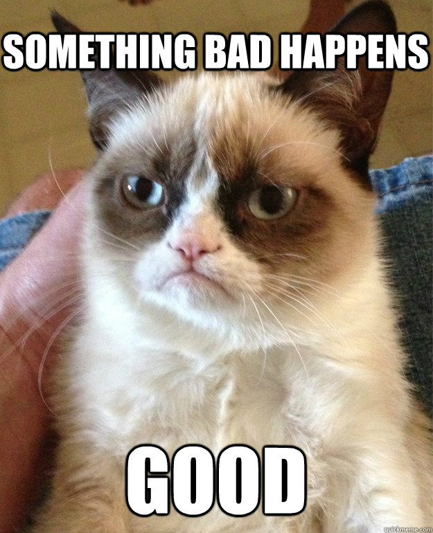 SOMETHING BAD HAPPENS GOOD  Tard cat shabbos