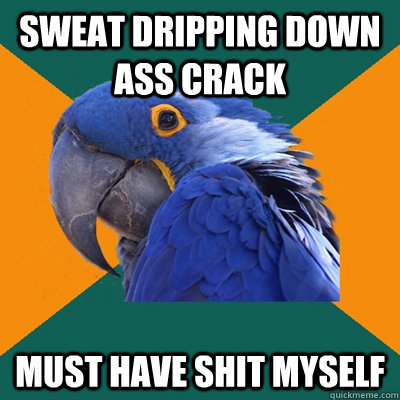 Sweat dripping down ass crack Must have shit myself  Paranoid Parrot