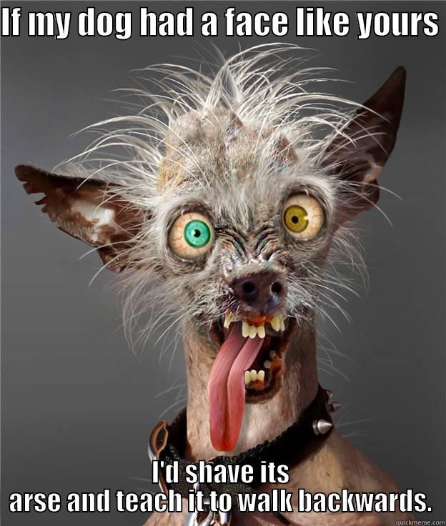Ugly Dog Quickmeme