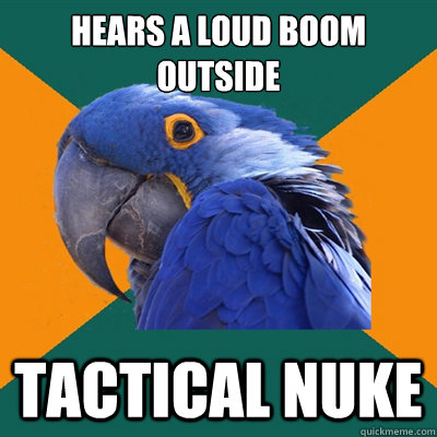 hears a loud boom outside tactical nuke  Paranoid Parrot