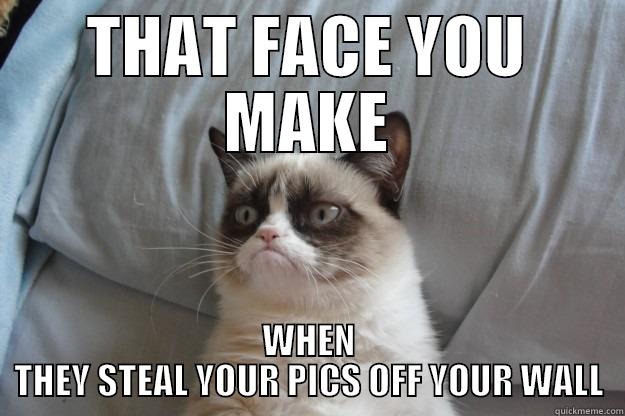 THAT FACE YOU MAKE WHEN THEY STEAL YOUR PICS OFF YOUR WALL Grumpy Cat