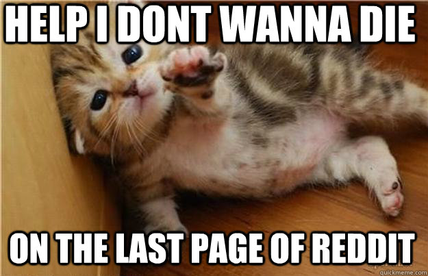 help i dont wanna die on the last page of reddit  Halp me kitten