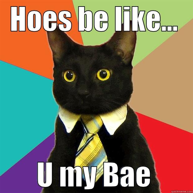HOES BE LIKE... U MY BAE Business Cat
