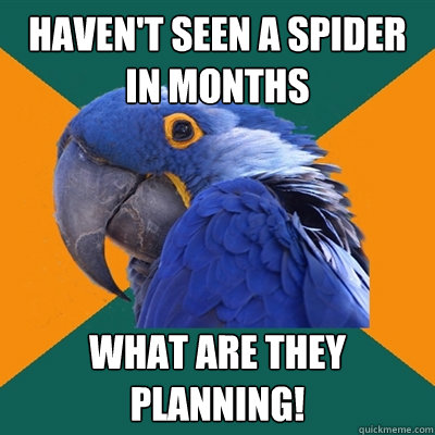 haven't seen a spider in months what are they planning!   Paranoid Parrot