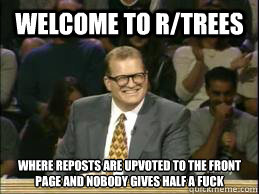 welcome to r/trees where reposts are upvoted to the front page and nobody gives half a fuck  - welcome to r/trees where reposts are upvoted to the front page and nobody gives half a fuck   Welcome to Reddit