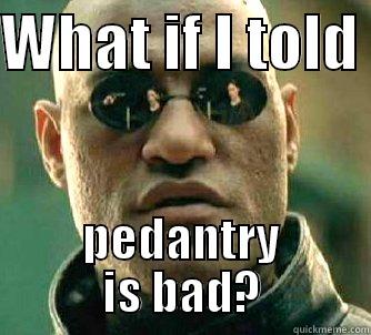 WHAT IF I TOLD  PEDANTRY IS BAD? Matrix Morpheus