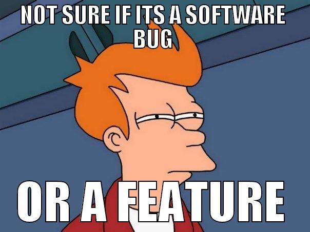 NOT SURE IF ITS A SOFTWARE BUG OR A FEATURE Futurama Fry