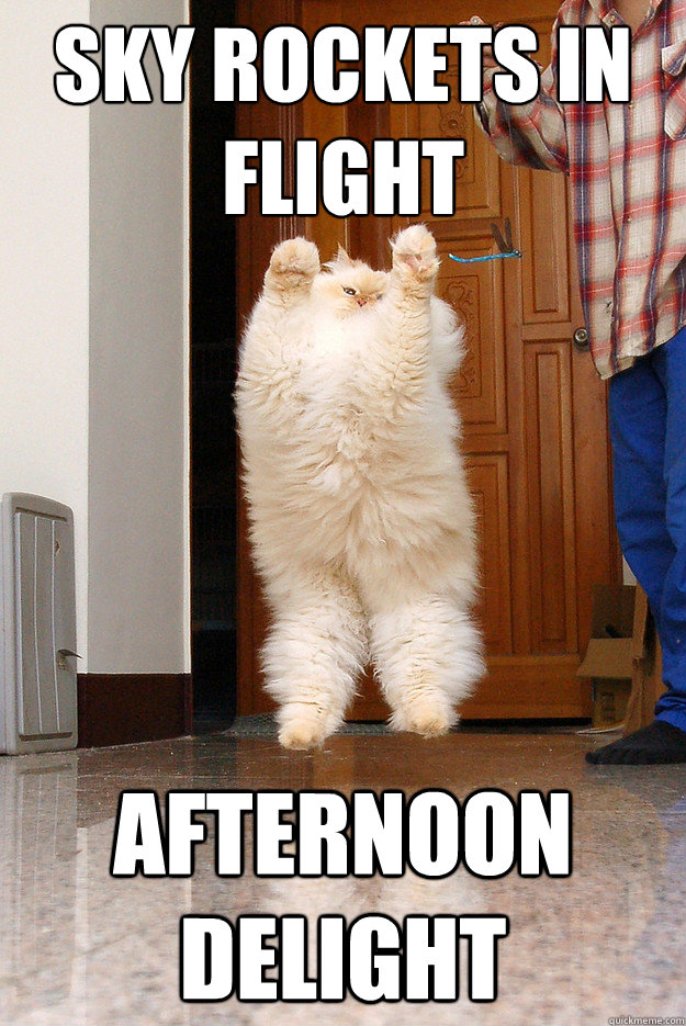Sky Rockets in Flight Afternoon Delight  Afternoon Delight