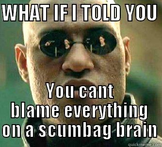 WHAT IF I TOLD YOU  YOU CANT BLAME EVERYTHING ON A SCUMBAG BRAIN Matrix Morpheus