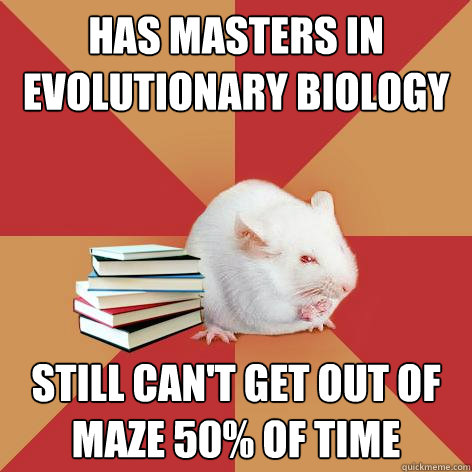 has masters in evolutionary biology still can't get out of maze 50% of time  Science Major Mouse