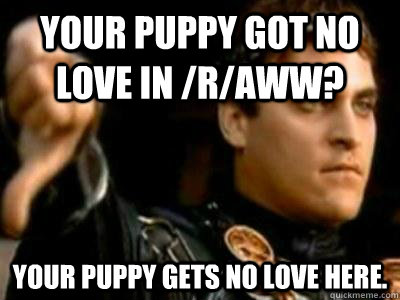 Your puppy got no love in /r/aww? Your puppy gets no love here.  Downvoting Roman