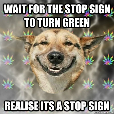 Wait for the stop sign to turn green Realise its a stop sign  Stoner Dog