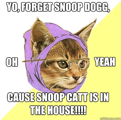 YO, forget snoop dogg, Cause snoop catt is in the house!!!! OH YEAH  Hipster Kitty