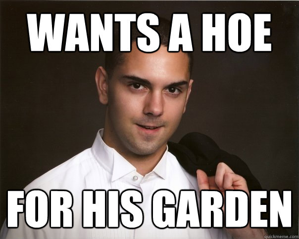 Wants a Hoe for his garden   