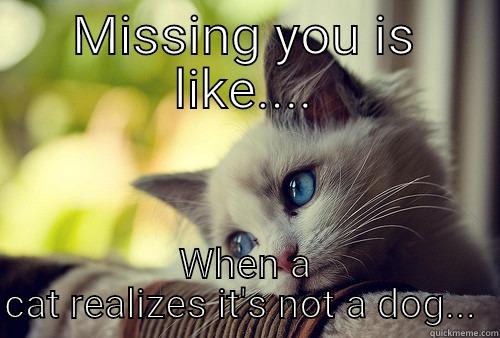 Ugh cat life  - MISSING YOU IS LIKE.... WHEN A CAT REALIZES IT'S NOT A DOG...  First World Problems Cat