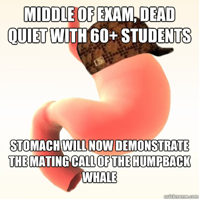 Middle of exam, dead quiet with 60+ students Stomach will now demonstrate the mating call of the humpback whale  