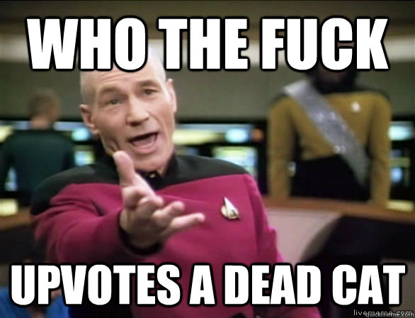 who the fuck upvotes a dead cat  Annoyed Picard HD