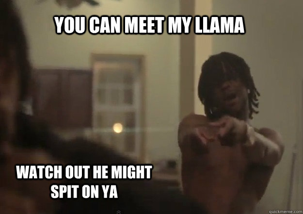 You can meet my llama watch out he might spit on ya  Chief Keef