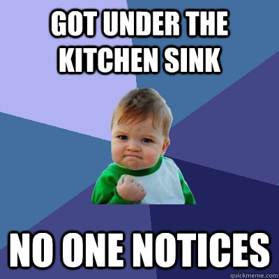 got under the kitchen sink no one notices  Success Kid