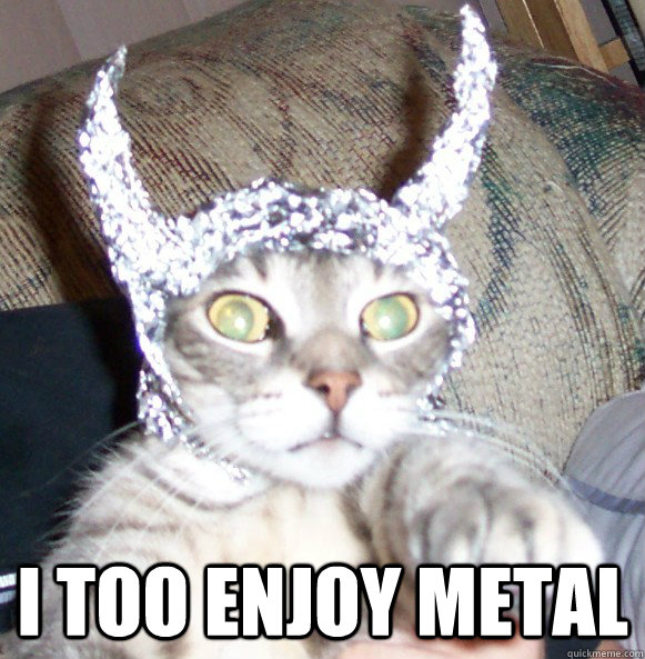  I TOO ENJOY METal  metal cat